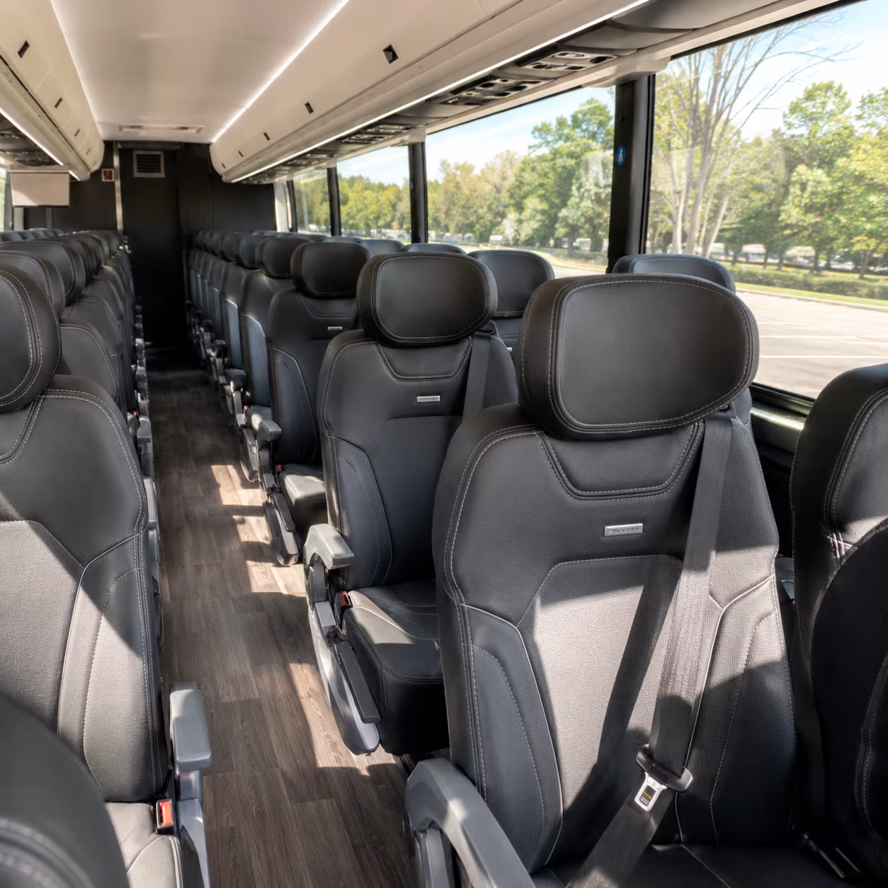 newark wedding transportation
